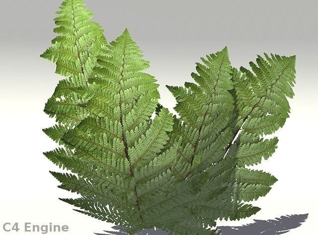 European Foliage 2 Low-poly 3D model_8