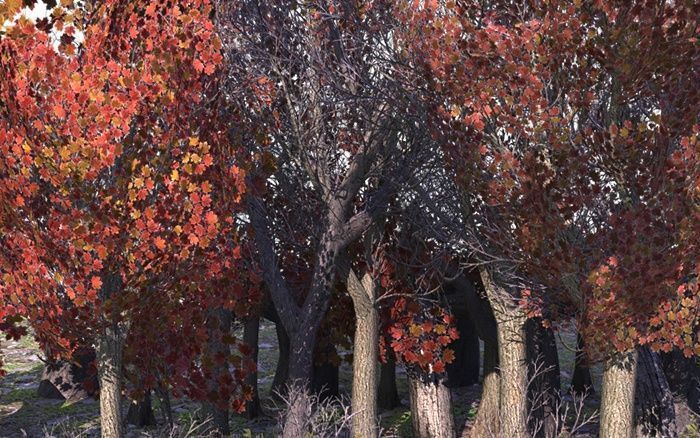 European Foliage 2 Low-poly 3D model_11