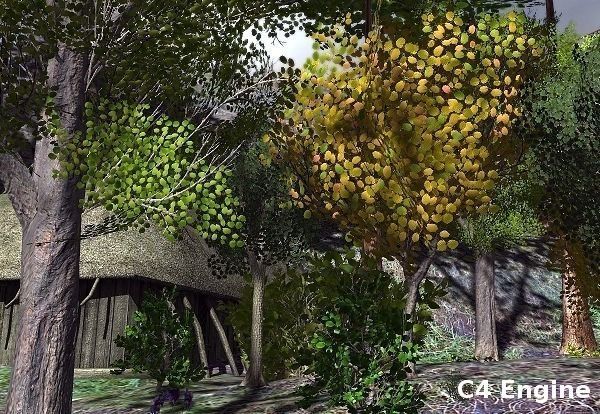 European Foliage 2 Low-poly 3D model_16