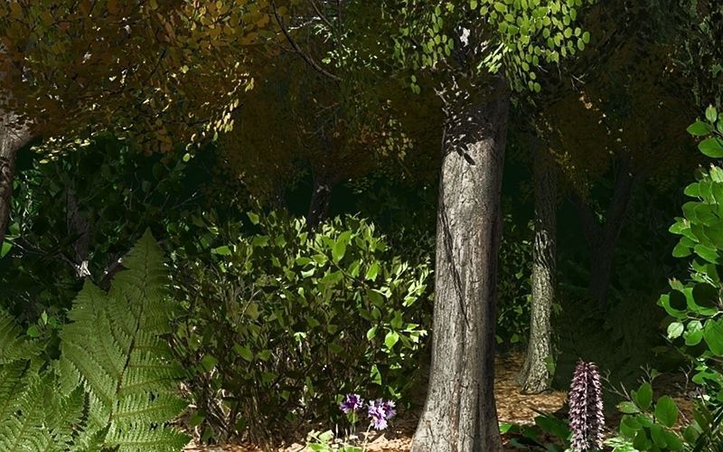 European Foliage 2 Low-poly 3D model_17