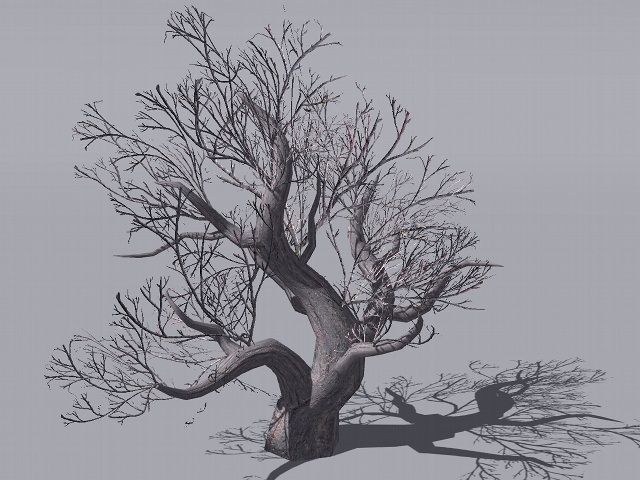 European Foliage 2 Low-poly 3D model_4