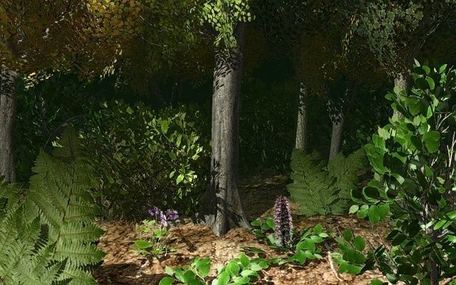 European Foliage 2 Low-poly 3D model_12