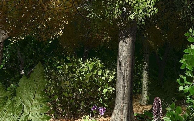 European Foliage 1 Low-poly 3D model_5