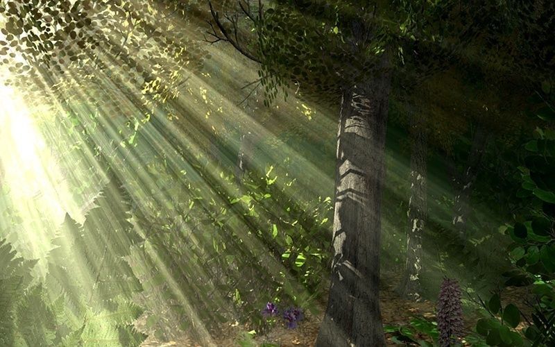 European Foliage 1 Low-poly 3D model_4