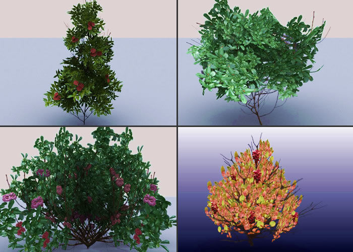 Bushes tree with leaves and flowers Low-poly 3D model_5