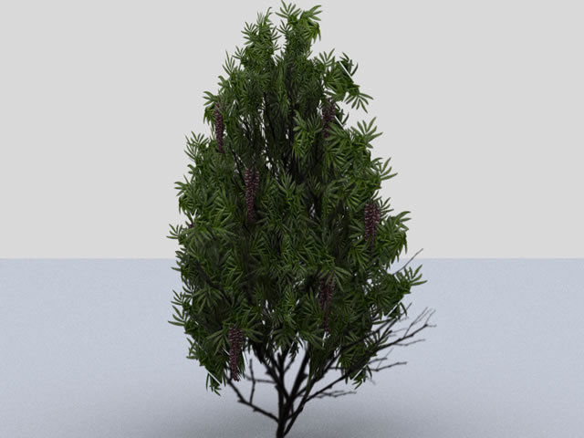 Bushes tree with leaves and flowers Low-poly 3D model_7