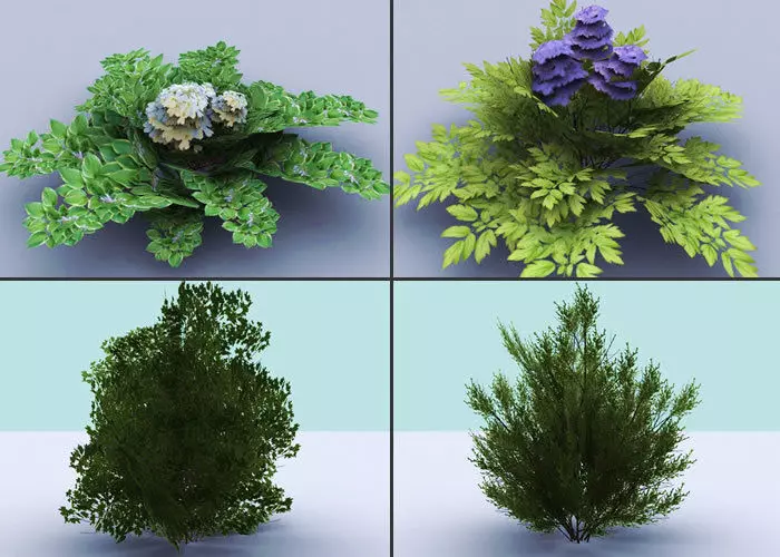 Bushes tree with leaves and flowers Low-poly 3D model_0