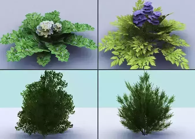 Bushes tree with leaves and flowers