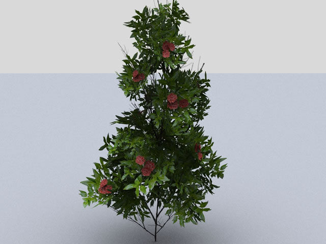 Bushes tree with leaves and flowers Low-poly 3D model_4