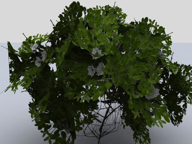 Bushes tree with leaves and flowers Low-poly 3D model_6