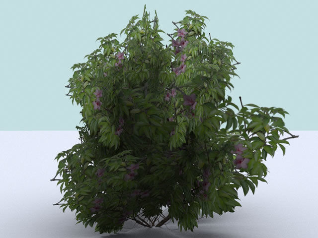 Bushes tree with leaves and flowers Low-poly 3D model_9