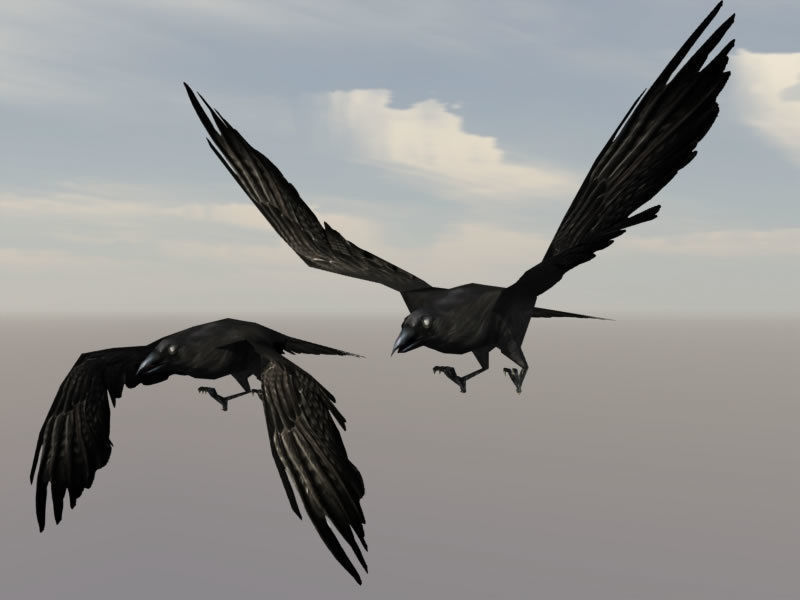 Birds Pack Low-poly 3D model_8