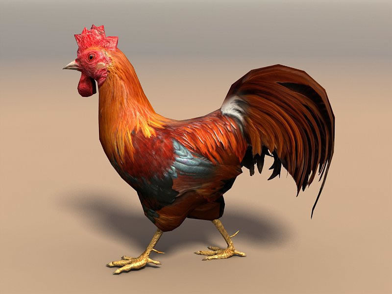 Birds Pack Low-poly 3D model_4