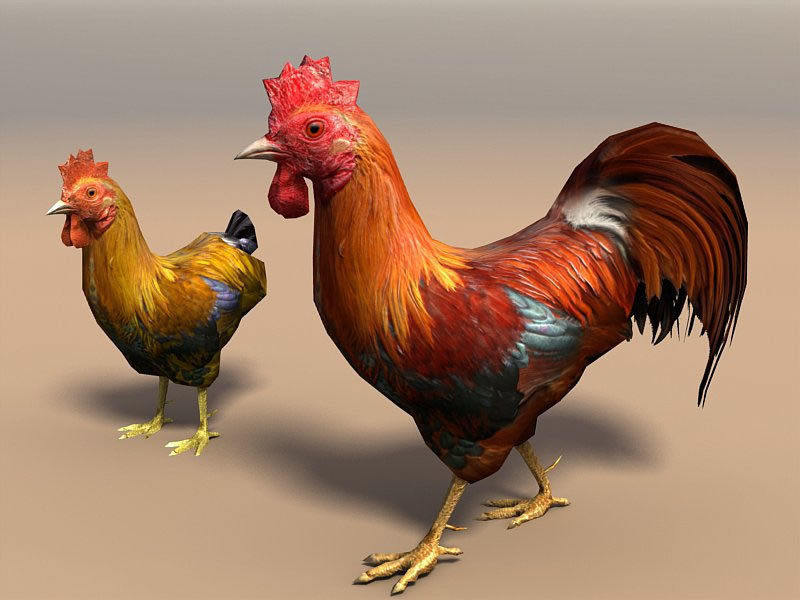 Birds Pack Low-poly 3D model_6