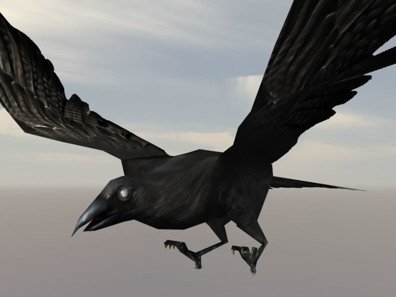 Birds Pack Low-poly 3D model_2