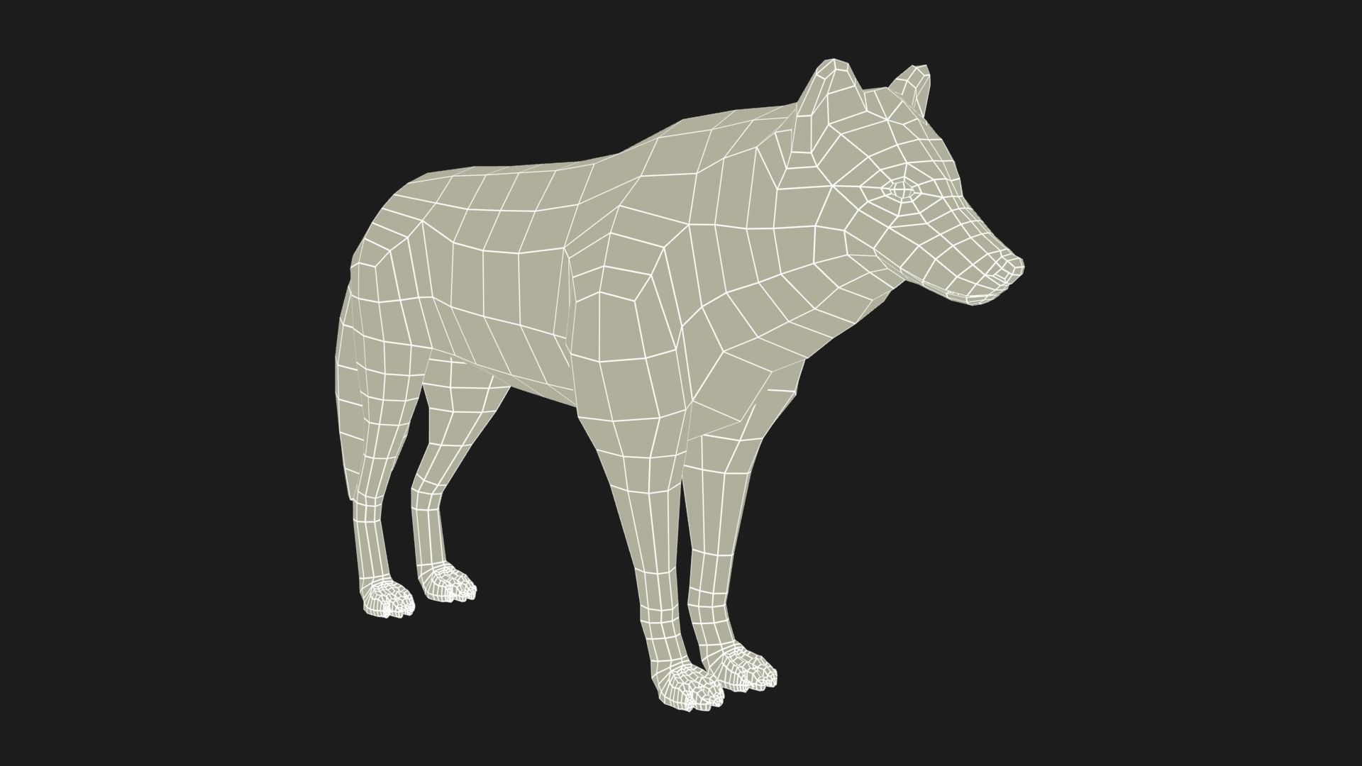 Arctic wolf Low-poly 3D model_9