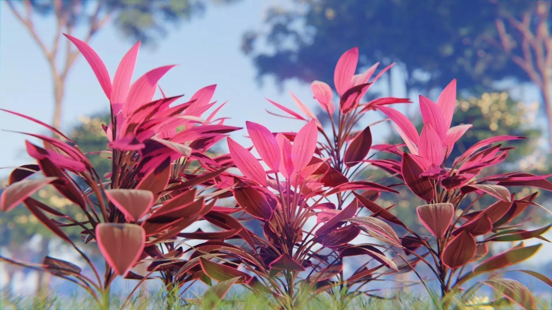 Plant - Cordyline Low-poly 3D model