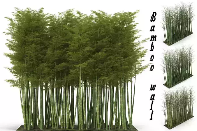 Bamboo wall 3D model
