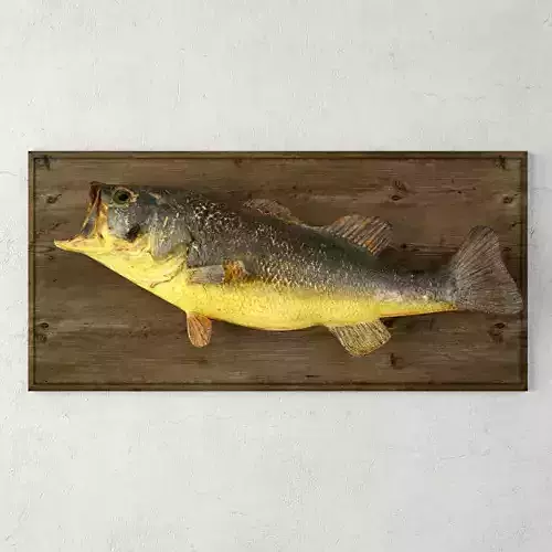 Vintage Fish Mount
