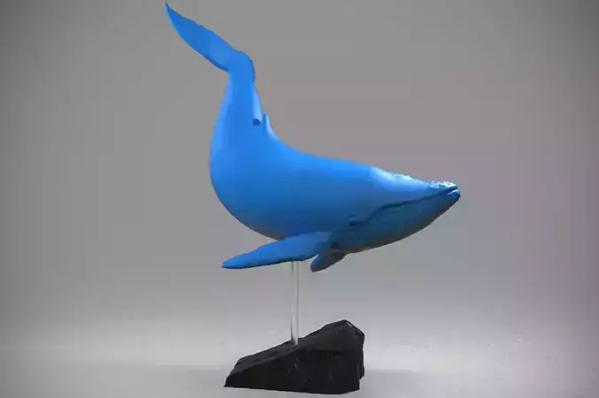 Blue Whale Free 3D print model