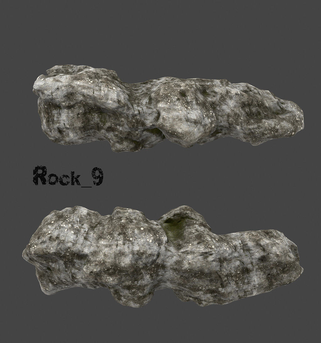 old forest rocks Low-poly 3D model_9