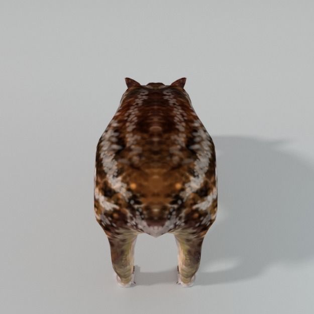 Mountain Paca - Guagua Low-poly 3D model_4