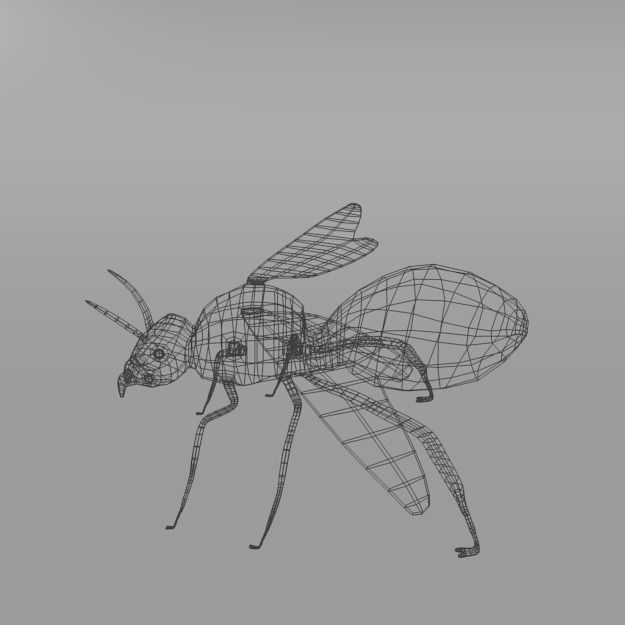 Horned Ant Low-poly 3D model_7