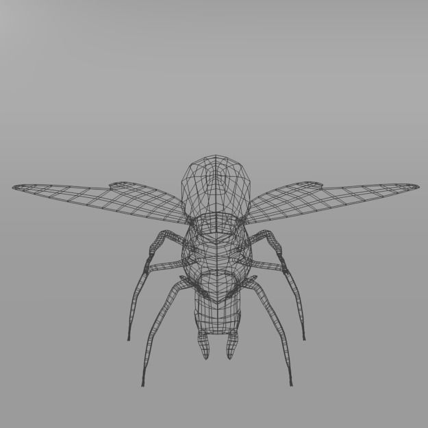 Horned Ant Low-poly 3D model_2