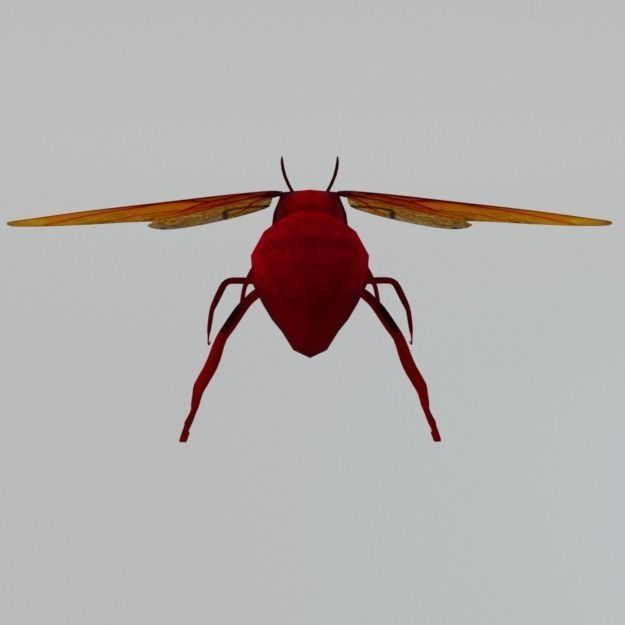 Horned Ant Low-poly 3D model_5