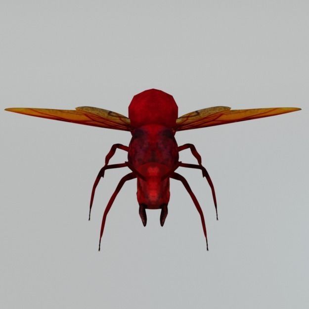 Horned Ant Low-poly 3D model_3