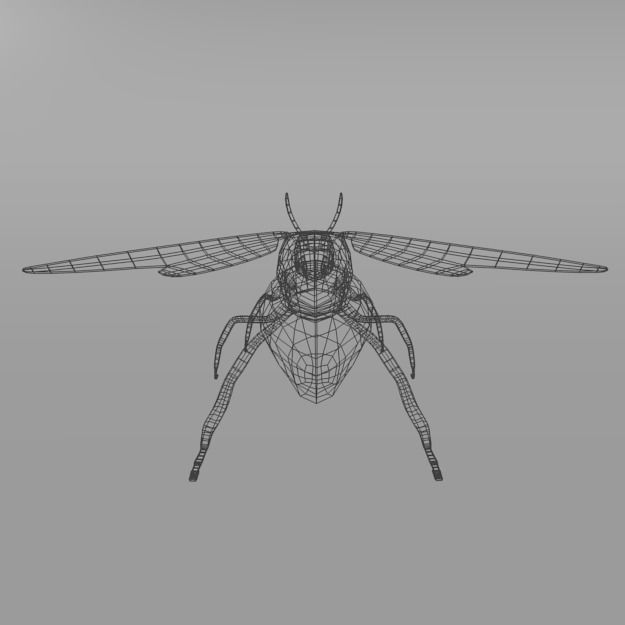 Horned Ant Low-poly 3D model_6