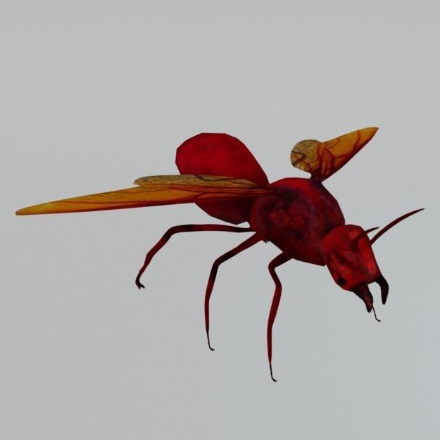 Horned Ant Low-poly 3D model_0
