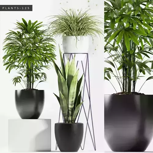 plants set 125