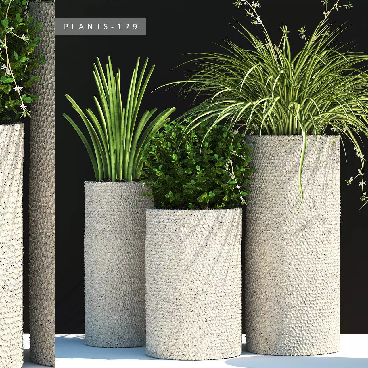 plants set 129 3D model