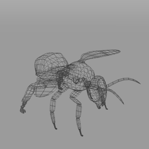 African Bee Low-poly 3D model_2