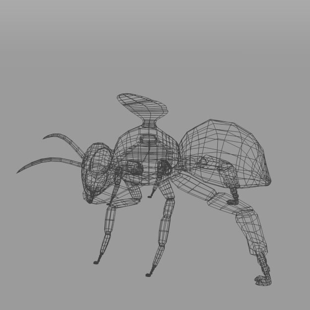 African Bee Low-poly 3D model_7