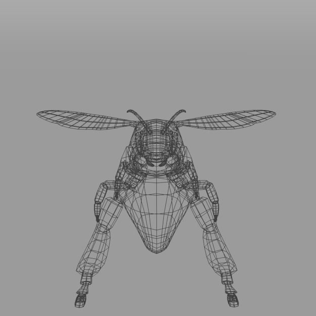African Bee Low-poly 3D model_4