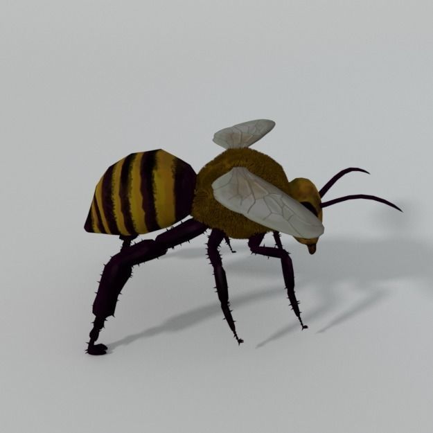 African Bee Low-poly 3D model_3