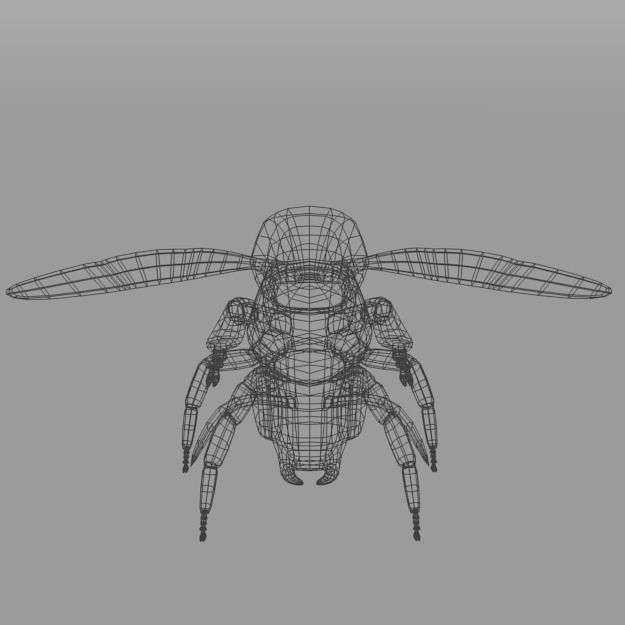 African Bee Low-poly 3D model_6