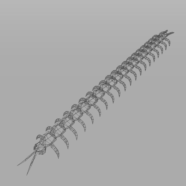 Scolopendra crab Low-poly 3D model_5