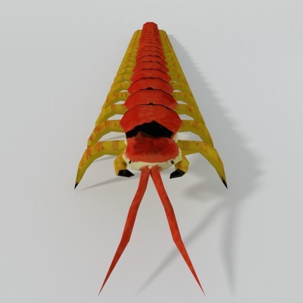 Scolopendra crab Low-poly 3D model_3