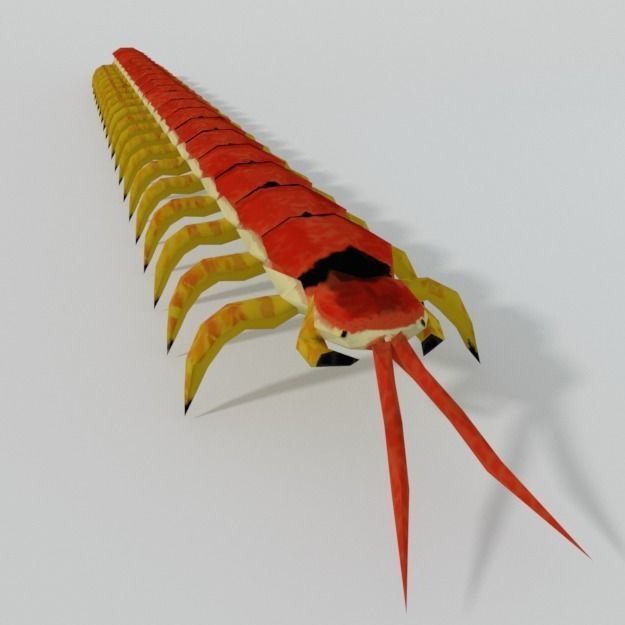 Scolopendra crab Low-poly 3D model_1