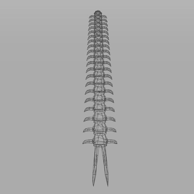 Scolopendra crab Low-poly 3D model_2