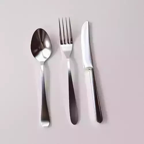 Cutlery Set silver fork and spoon
