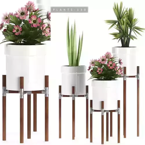 plants stand set 130
