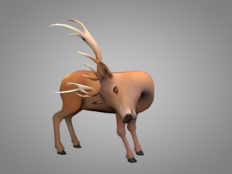 Deer or Doe Low-poly 3D model_3