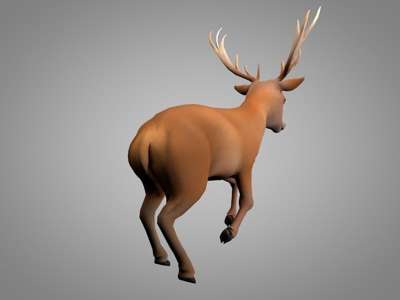 Deer or Doe Low-poly 3D model_7