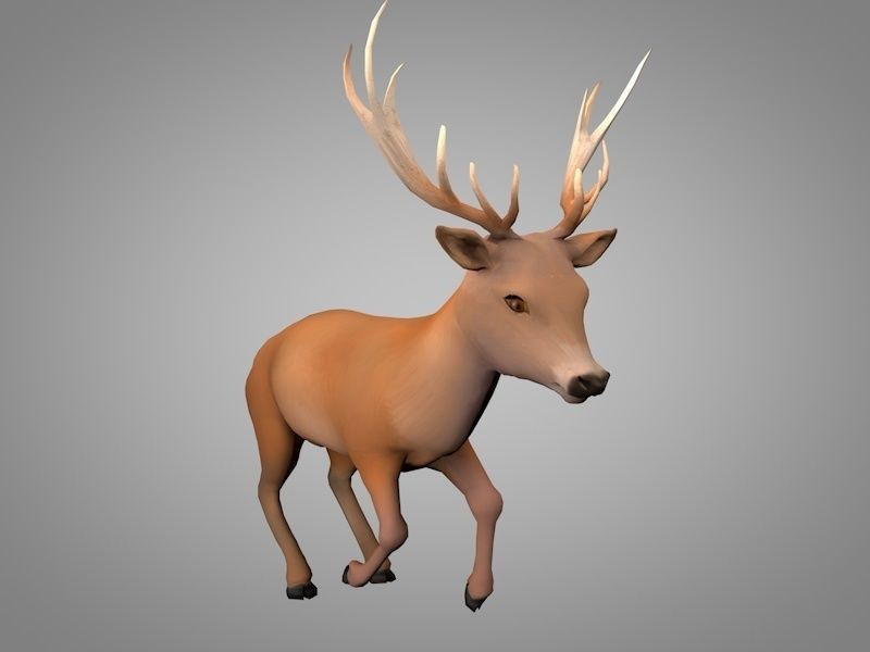 Deer or Doe Low-poly 3D model_4