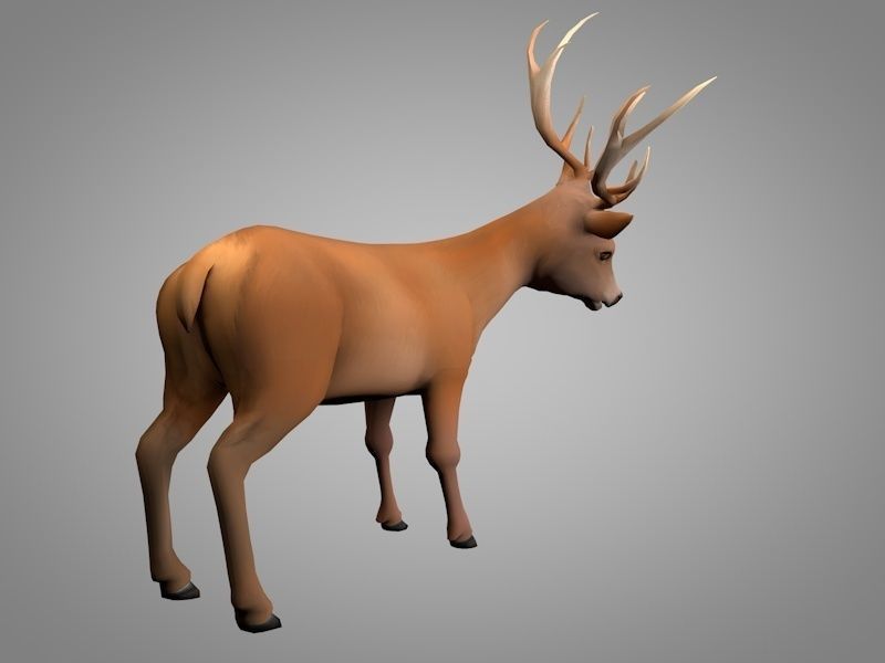 Deer or Doe Low-poly 3D model_2