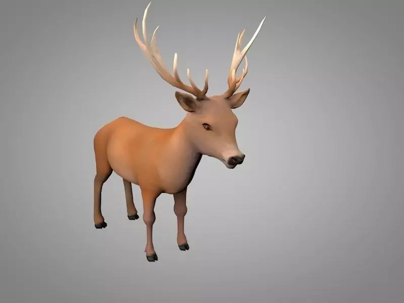 Deer or Doe Low-poly 3D model_0